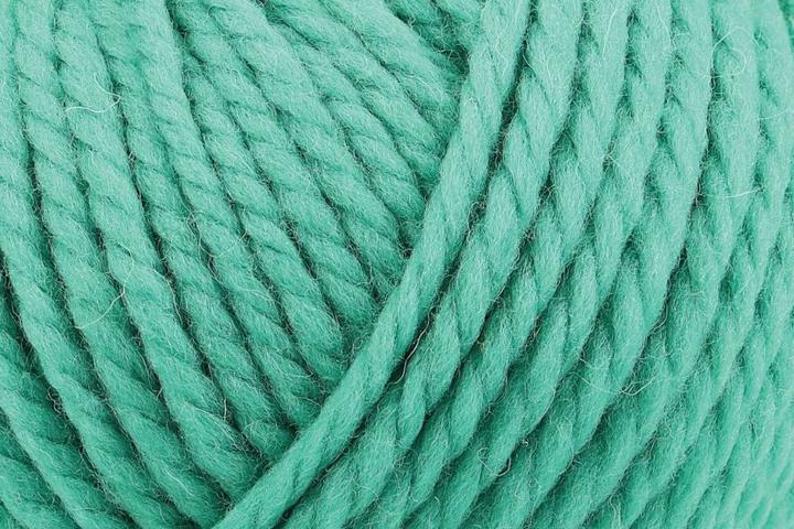 Actual product image Rowan Big Wool (80 m)
