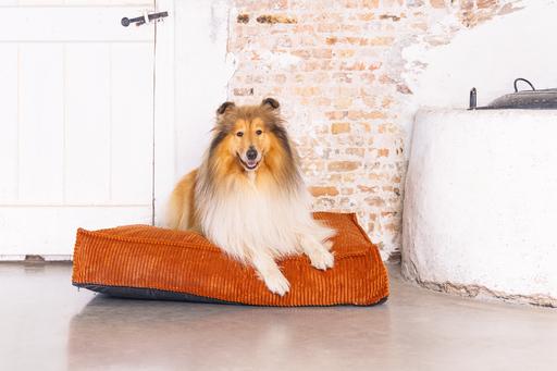 Actual product image Designed by Lotte DBL COUCH CUSHION RIBBED TERRA 100X70X15 (Dog)