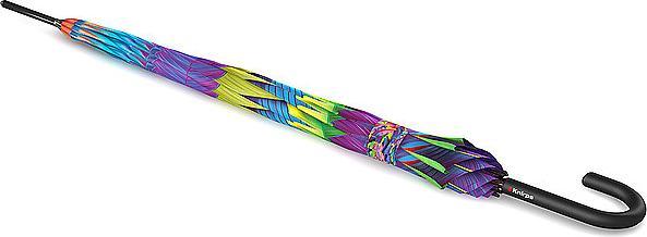 Palm Multicolor
