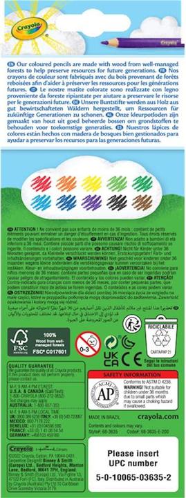 Image du produit Crayola Crayons de couleur effaçables (Multi, 10 x)