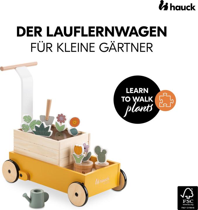 Produktbild Hauck Learn to Walk Plants