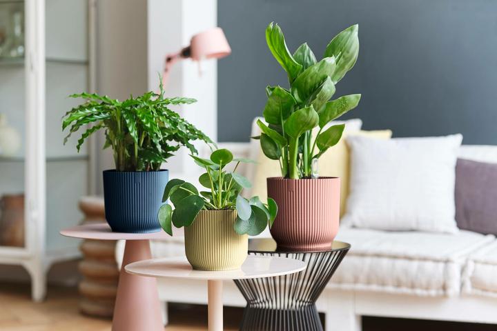 Actual product image Elho Vibes Fold (22 cm)