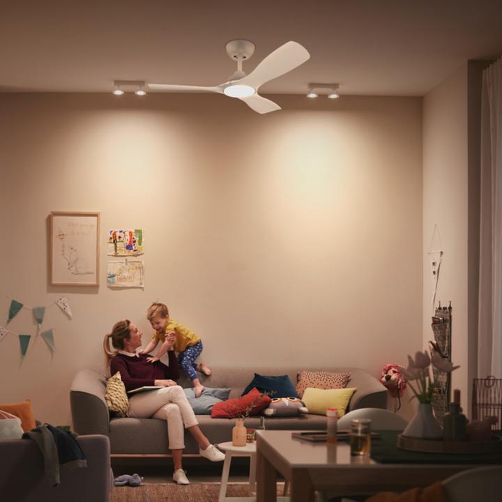 Actual product image Philips Fan Ceiling Light 30(Fan)+24(Light)W