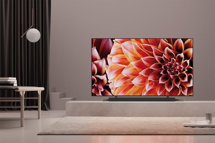 Immagine prodotto Sony Kd-55xf9005 (55", LCD, 4K, 2018)