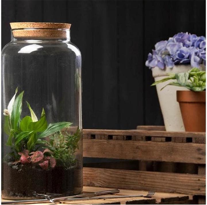 Immagine prodotto Esschert Design Terrarium