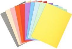 Produktbild Exacompta Aktendeckel FOREVER 250, DIN A4, orange (A4, 100 x)
