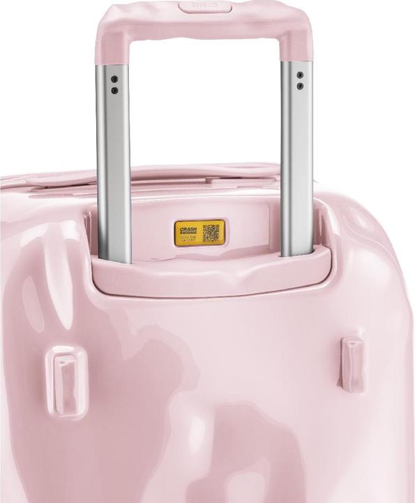 Image du produit Crash baggage ICON TONE ON TONE - Trolley Trunk M (75 l, L (90 - 115l))