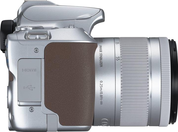 Actual product image Canon EOS 250D + EF-S 18-55mm f/4-5.6 IS STM (18 - 55 mm, 24.10 Mpx, APS-C / DX)