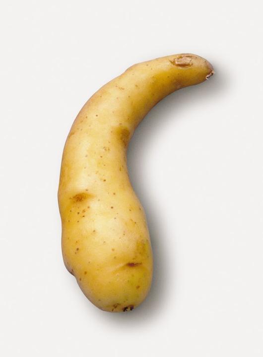 Produktbild Samen Mauser Saatkartoffel Ratte/Virgule (Gemüsesamen)