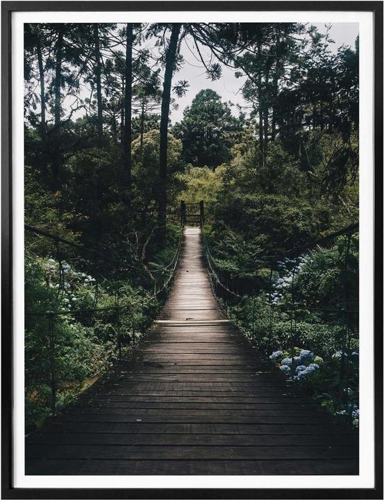 Actual product image Trenddeko Poster forest path 60 x 80 cm, paper (60 x 80 cm)