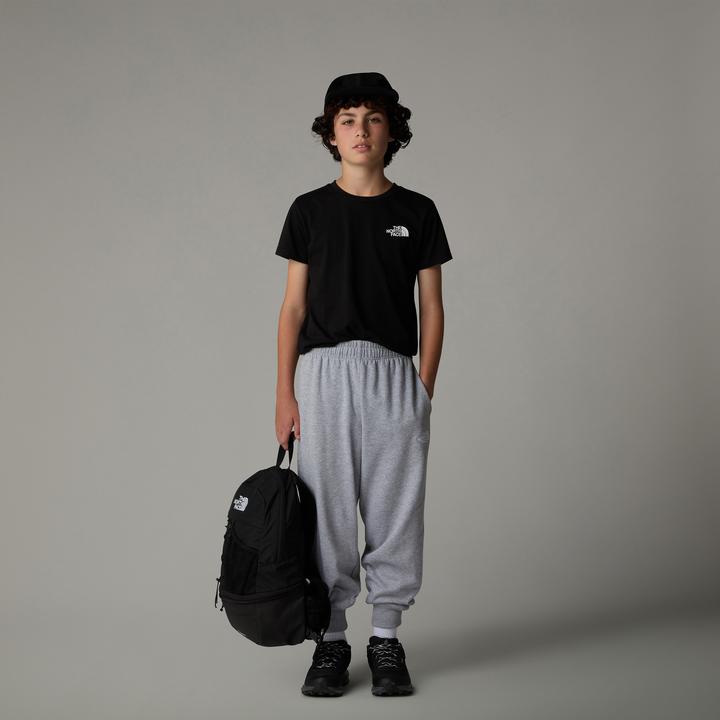 Actual product image North Face Teen Simple Dome (M)