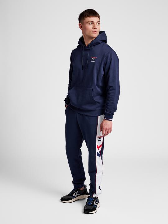 Actual product image hummel Ic Dayton Hoodie (L)