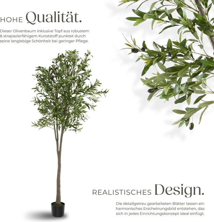 Immagine prodotto tectake Olivo Oleand (210 cm)