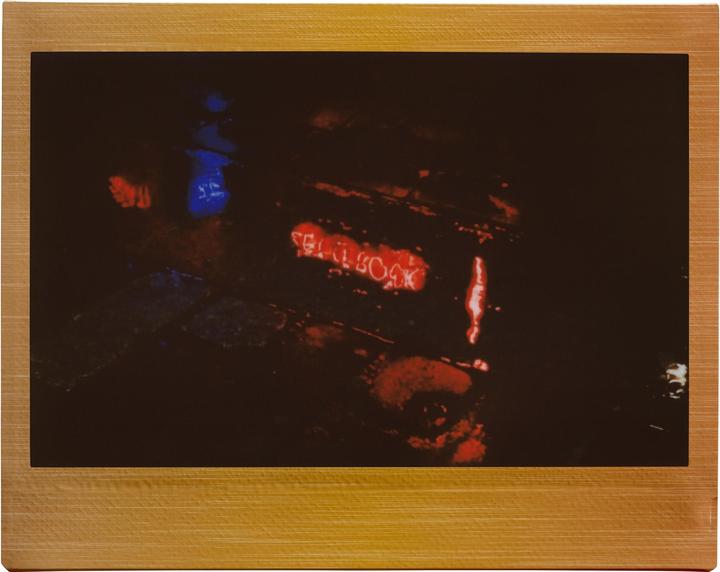 Actual product image Fujifilm Instax Wide 10 Blatt Brushed Metallics (Instax Wide 400, Instax Wide 300)