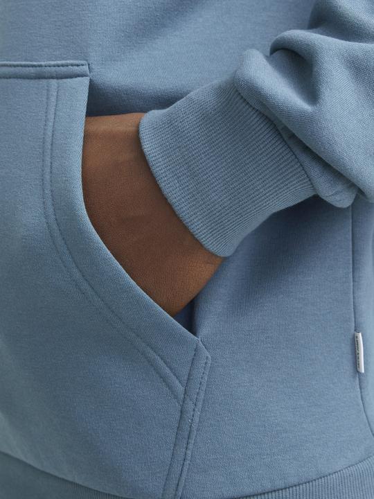 Actual product image Jack & Jones Jjebradley Sweat Hood Noos Pls (4XL)