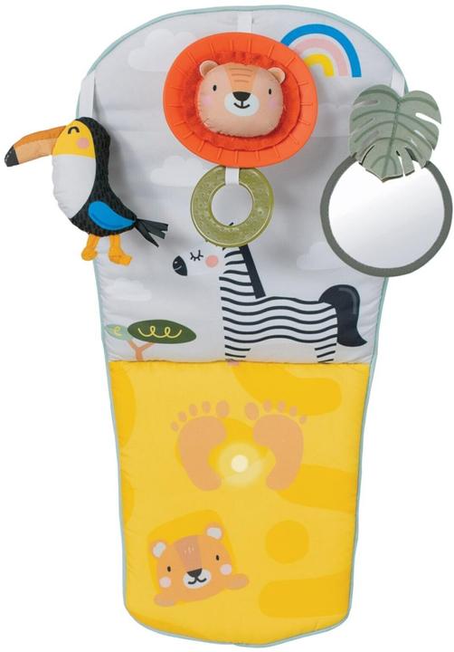 Child car seat accessories