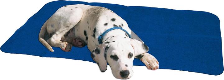 Produktbild Swisspet Hygiene Hunde Matte 50x71cm (Hund)