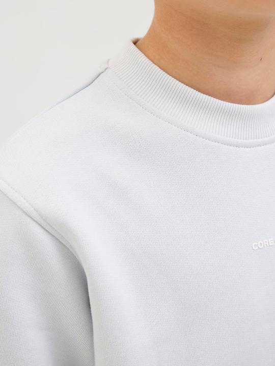 Actual product image Jack & Jones Gedruckt Sweatshirt Junior Sweatshirt (176)