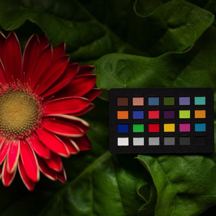 Image du produit Xrite ColorChecker Classic Nano