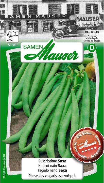Samen Mauser Haricot de brousse Saxa (Graines de légumes)
