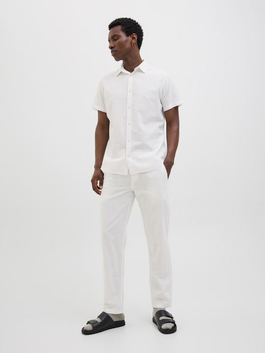 Image du produit Jack & Jones Jpstkane Jjsummer Jogger Sn (L)
