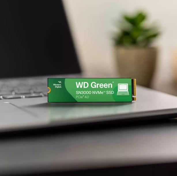 Actual product image WD Green SN3000 (1000 GB, M.2 2280)