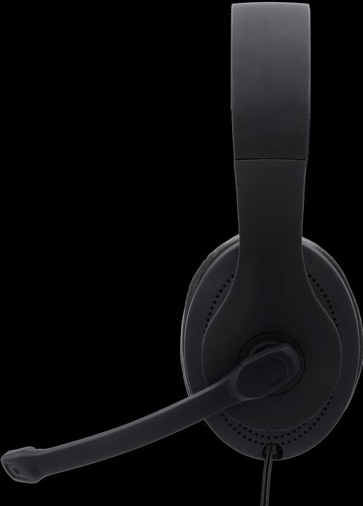 Immagine prodotto Hama HS-P200 (Cablato)