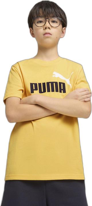Produktbild Puma ESS 2 COLOR No.1 Logo Tee B (164)