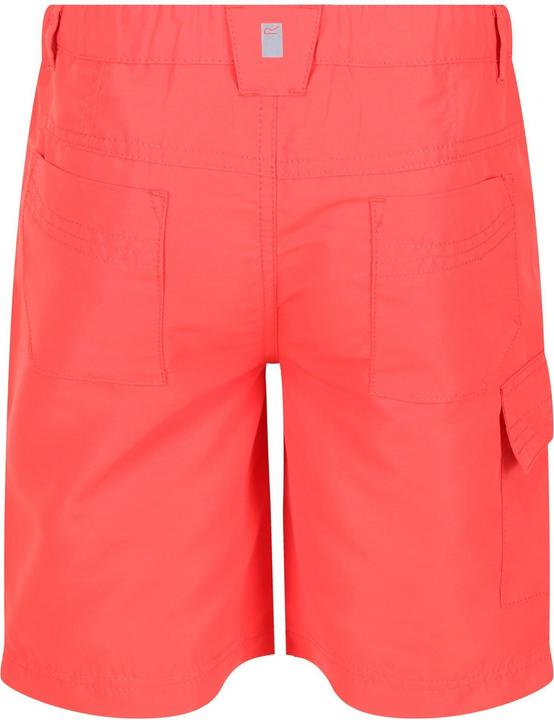 Actual product image Regatta Sorcer II Shorts (164)