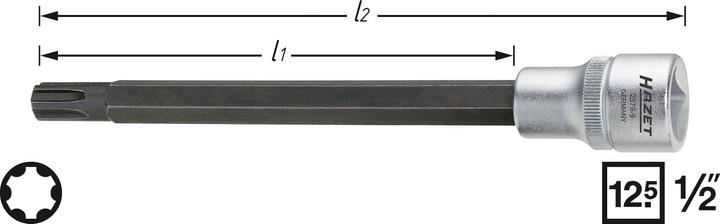 HAZET Zylinderkopf Schraubendreher-Steckschlüsseleinsatz 2579-9 ∙ Vierkant12,5 mm (1/2 Zoll) ∙ Poly…