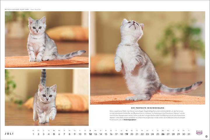 Produktbild Whiskas Katzenkalender 2026 (45 x 30 cm, Harter Einband, Deutsch)