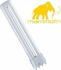 Image du produit Mammoth Ampoule T-Neon 55 Watt 6500 Kelvin (LED, 230 V)