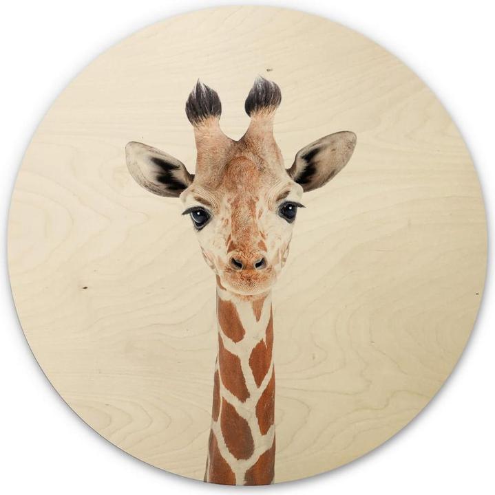 Actual product image Trenddeko Baby giraffe (Ø 70 cm)