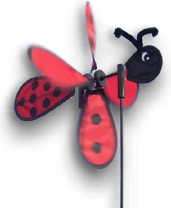 Actual product image Didak Windmill Mini Lizzy 45*25