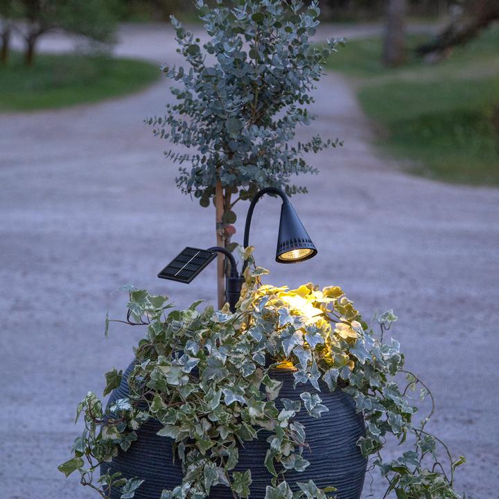 Image du produit Star Trading Solar Spotlight Powerspot (20 lm, IP44)