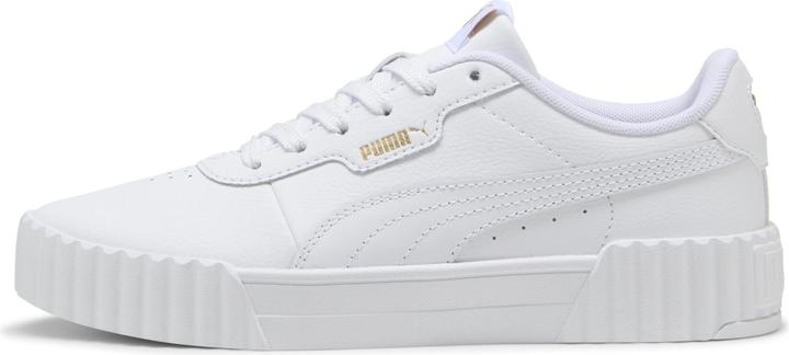 Puma Carina 3.0 (37)
