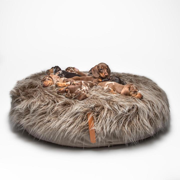 Immagine prodotto Cloud 7 Pouf Yeti (Cane)