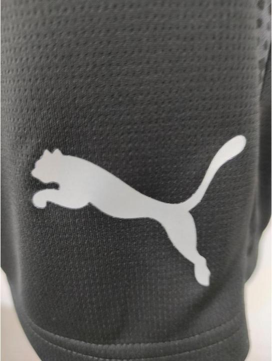 Actual product image Puma teamCUP Training Shorts (XL)