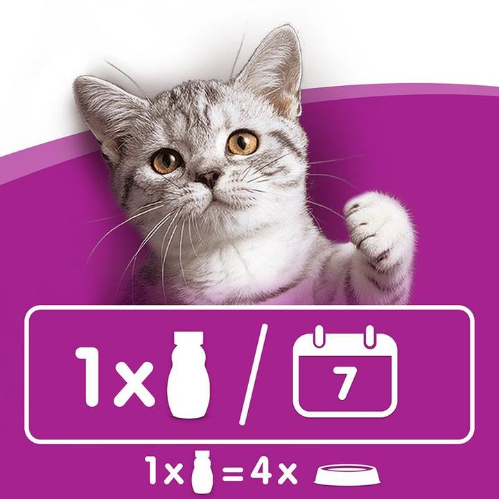 Produktbild Whiskas Katzenmilch Multipack (Adult, 5 Stk., 3075 g)