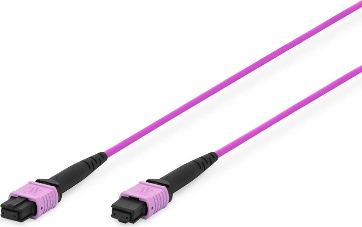Actual product image Digitus MPO patch cable, OM4, 1m (LSOH, CAT6, 1 m)
