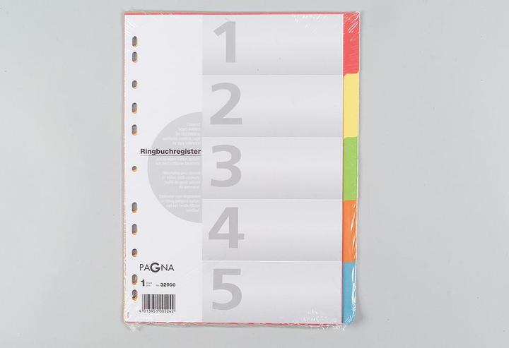 Immagine prodotto Pagna Registro di cartone per A4 - colorato
