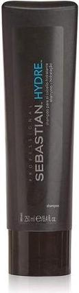 Produktbild Sebastian Hydre (250 ml, Flüssiges Shampoo)