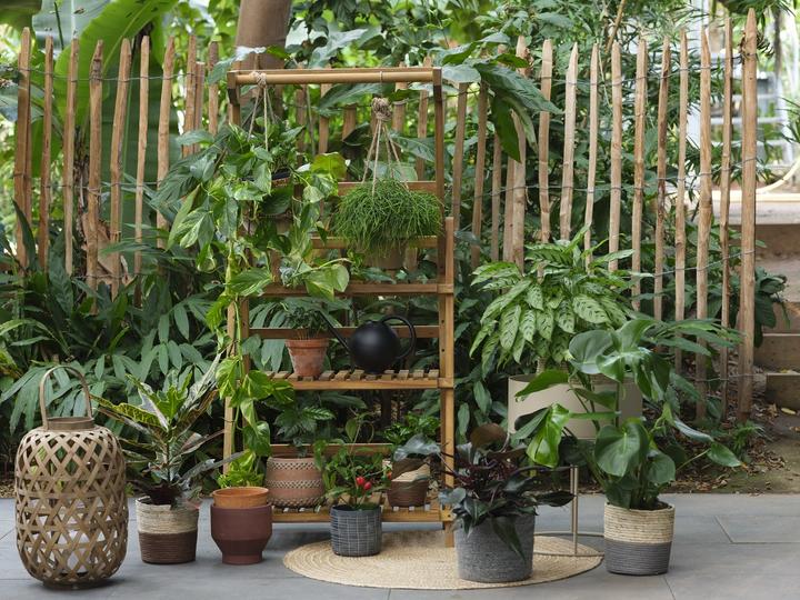Immagine prodotto Giardimo Urban Jungle