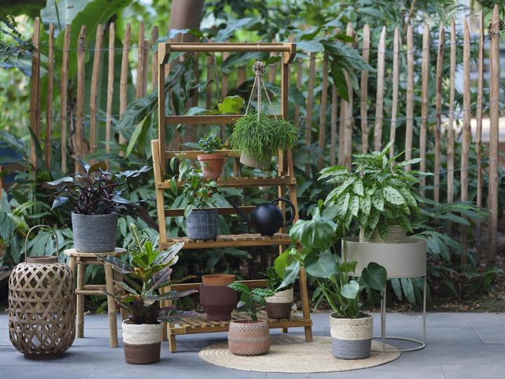Immagine prodotto Giardimo Urban Jungle