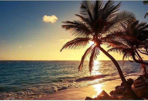Productafbeelding CoverYourDesk Bureaulegger Palmbomen op het strand (40 x 60 cm)