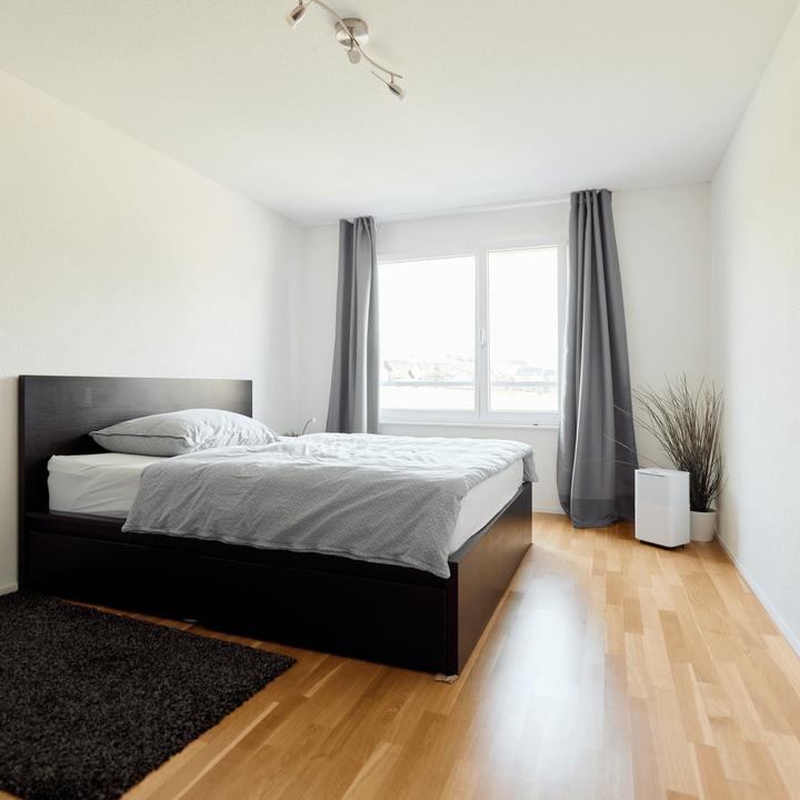 Immagine prodotto ecofort ecoQ 12L Essenziale (30 m², 12 l/24h)