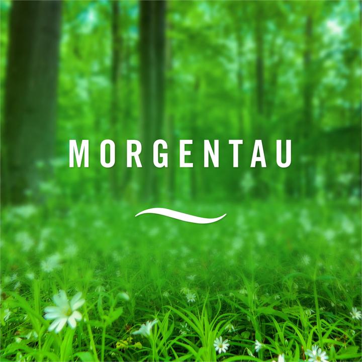 Produktbild Febreze Morgentau
