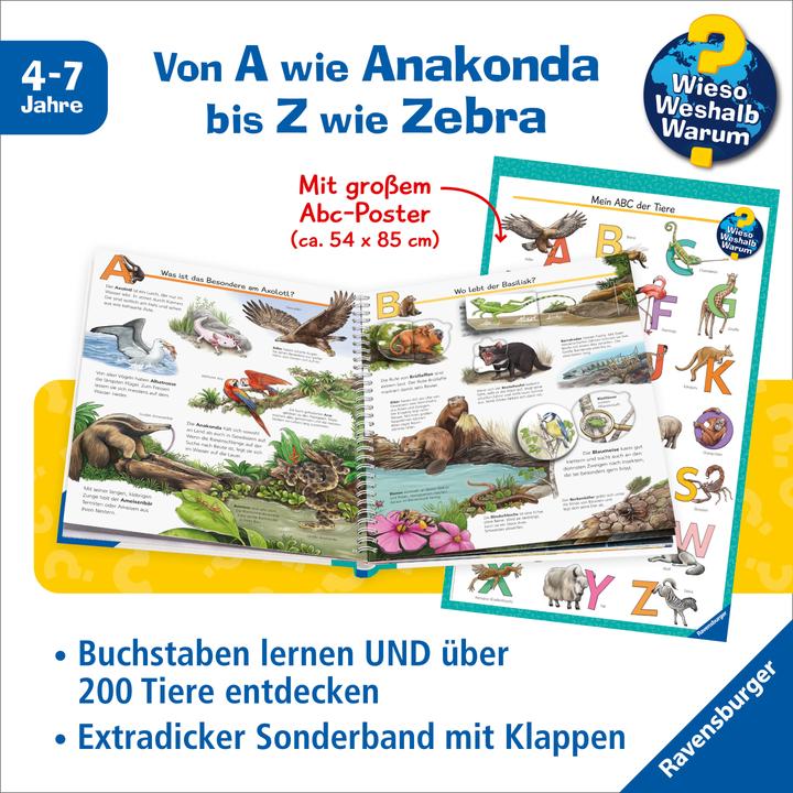 Actual product image Ravensburger Wieso? Weshalb? Warum? Sonderband - Mein ABC der Tiere (German)