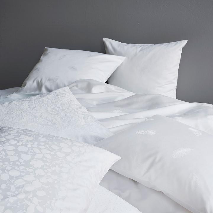 Immagine prodotto Schlossberg Federa PAISLEY bianca (Copricuscino, 65 x 65 cm)