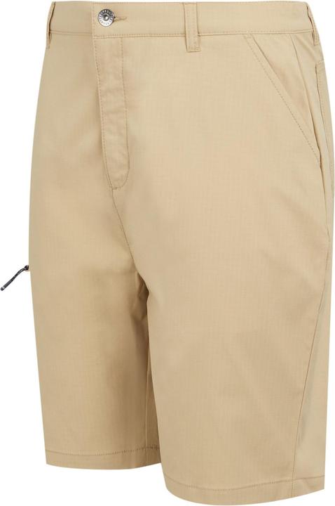 Actual product image Regatta Mens Dalry Multi Pocket Shorts (Frequency band 38 (2600 MHz))